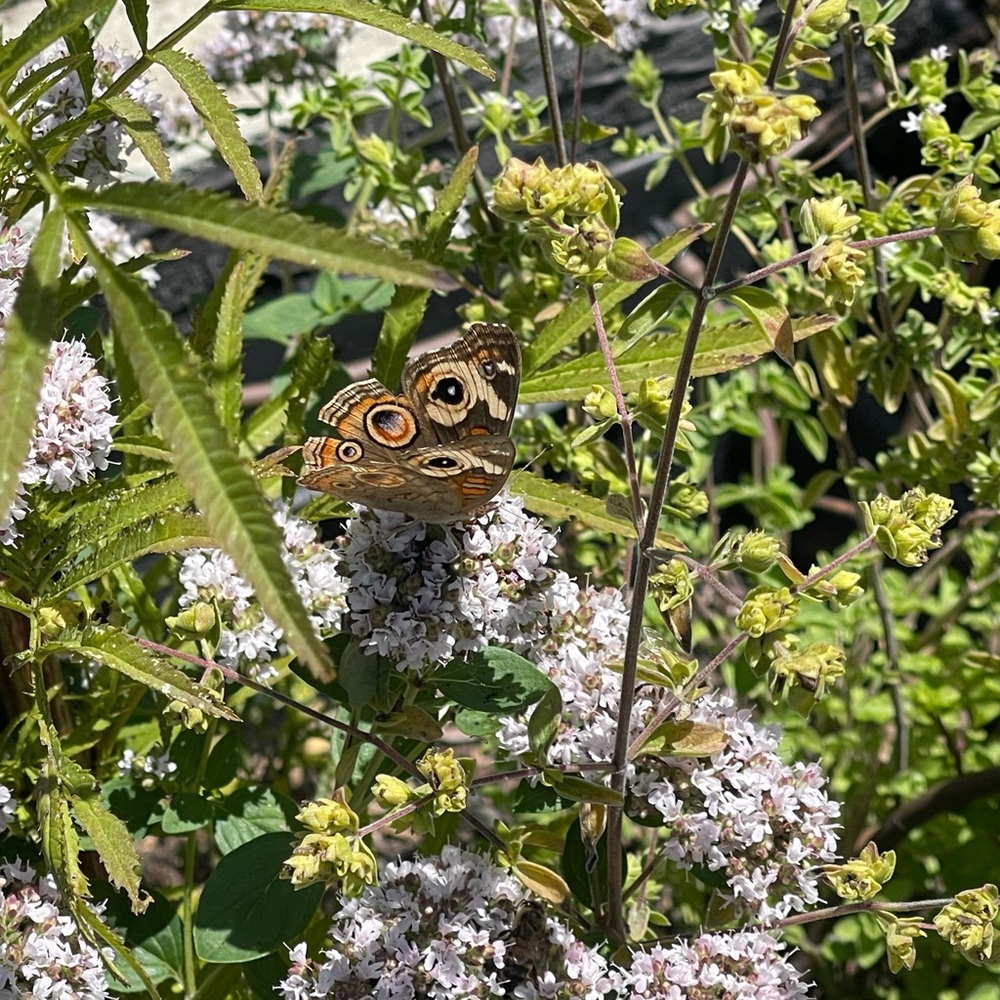 Meet your Posher, Mar